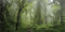 MIRRORANG 91x50cm Foggy Forest Terrarium Hintergrund Stein Grüner Baum Reptil Lebensraum Hintergrund Tropischer Regenwald Aquarium Hintergrund Haltbarer Vinyl Hintergrund
