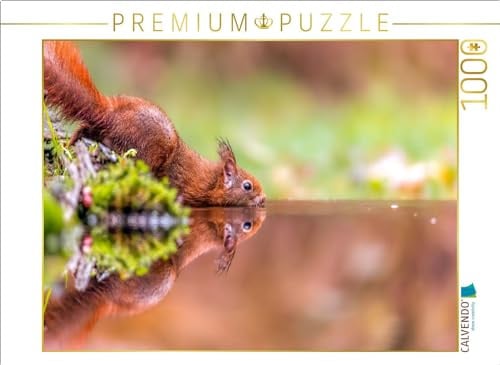 CALVENDO Puzzle Spiegelndes Eichhörnchen | 1000 Teile Lege-Größe 64 x 48 cm Foto-Puzzle für glückliche Stunden