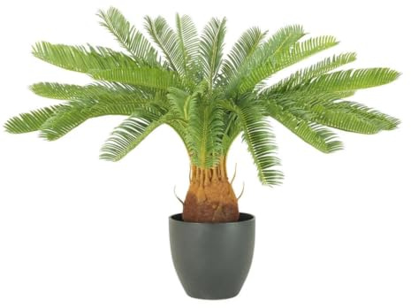 Ligne Déco – Palmier Cycas Artificiel 70cm | Pot Plastique Noir Intérieur Imitation Terre
