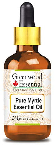 Greenwood Essential Naturreine Ätherisches Myrtenöl (Myrtus Communis) mit Glas Tropfer Dampfdestilliert 15ml (0.50 oz)