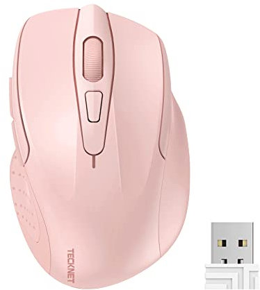 TECKNET Kabellose Maus, Pro 2.4G 4000 DPI Wireless Maus 6 Tasten mit Nano Empfänger, 24 Monate Batterielaufzeit, 5 Einstellbare DPI-Pegel für PC Laptop iMac MacBook Microsoft Pro, Office Home