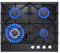Eascookchef - Estufa de gas superior de 24 pulgadas, estufa de gas de 24 pulgadas, 4 quemadores, estufa de gas convertible, estufa de propano de vidrio templado negro con protección de termopar
