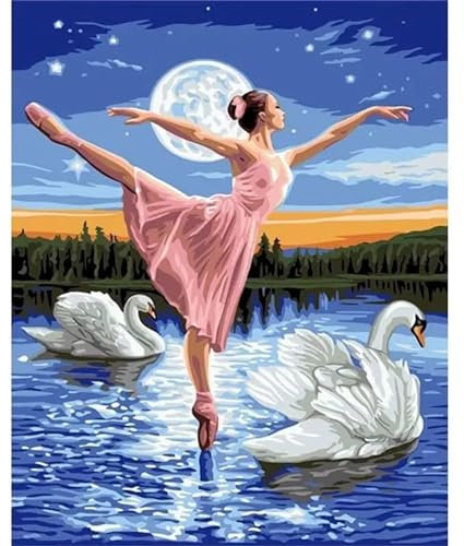 Yoonqun Ballett Mädchen Schwan Malen Nach Zahlen Set,50x65cm Malen Nach Zahlen Erwachsene DIY inklusive Pinsel und Acrylfarben Handgemalt Ölgemälde Kit Startseite Wandkunst Dekoration - ohne Rahmen