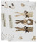 Zerodeko 2pezzi Tovagliette Pasquali Resistente Con Design Coniglio Per Decorare La Tavola Durante Le Feste Di Pasqua Come Sottopiatti e Pratico
