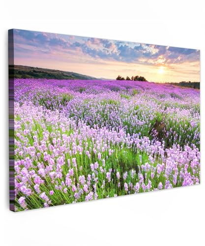 MuchoWow© Bilder Groß Wohnzimmer Deko Modern Wandbild XXL Kunstdruck | 180x120 cm - Leinwand Bild Schlafzimmer über Bett Room Decor Geschenke Blumen - Lavendel - Lila - Sonnenuntergang - Natur