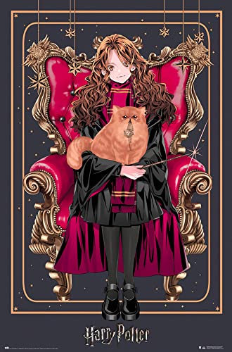 Harry Potter Poster Wizard Dynasty Hermione Granger Plakat | Bild 91x61 cm