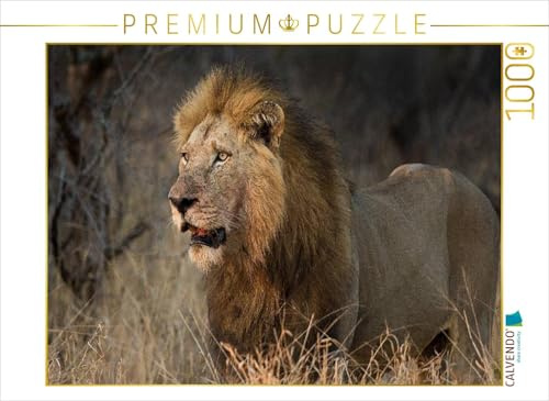 CALVENDO Puzzle Löwe Afrikas Tiere im Fokus | 1000 Teile Lege-Größe 64 x 48 cm Foto-Puzzle für glückliche Stunden