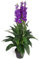 Leaf Planta Artificial de orquídea de cimbidio, 100 cm, diseño de Maceta, Color Negro, Morado, 100 cm