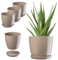 KADAX Blumentopf, Pflanzkübel-Set mit Untersetzer, Blumenkübel aus Kunststoff, runder Pflanztopf für Innenbereich, Übertopf für Blumen und Zimmerpflanzen, Kräutertopf (Set 3: 23cm, Beige)