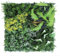 ZiStarlilife Plantas colgantes artificiales, telón de fondo de césped artificial, hojas de pared, paneles de seto, hierba verde para valla de privacidad, interior, exterior, jardín, sala de estar,