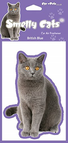 Air Fresheners British Blue Cat Lovers Gift - 2 x Delightful Car
