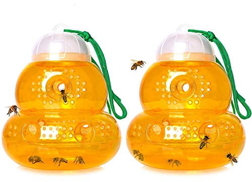 DIVCHI 2Pack Wasp Trap - Wasp Catcher, Yellow Jacket Traps, Fruit Fly Trap, Hornet Trap, Indoor, Outdoor, Hourglass-shaped