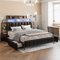 Ctastay Polsterbett Doppelbett 160x200 cm mit LED-Beleuchtung, Bett Familienbett mit 4 Stauraum Schubladen & Regal, Gastbett Jugendbett mit Lattenrost, Schwarz (Ohne Matratze)