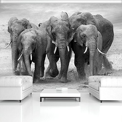 Forwall Fototapete Vlies - Tapete Moderne Wanddeko Elefanten VEXXL (312cm. x 219cm.) AMF11578VEXXL Wandtapete Design Tapete Wohnzimmer Schlafzimmer