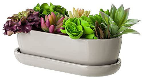 botle Pot de fleurs en céramique - Bol de cactus - Dessous de verre - Trou d'eau - Cactus - Bonsaï - Plantes succulentes (ovale, gris)