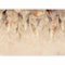 murando PREMIUM Papier peint Feuilles 400x280 cm Décoration Murale XXL Poster Tableaux Muraux Tapisserie Photo Nature Botanique comme peint b-A-10204-a-a