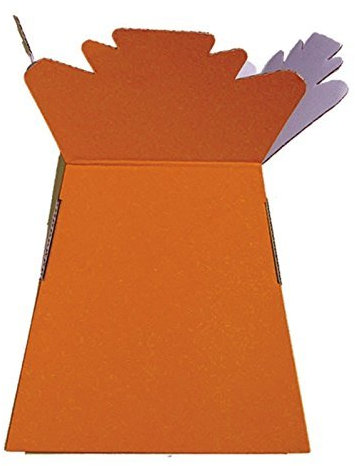 ORANGE vivant vase fleur Boîte Fleur Bouquet Transporteur, confiserie arbre boite