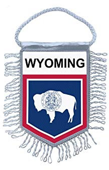 Akachafactory Fanion Mini Drapeau Pays Voiture Decoration Etats USA Etats Unis Wyoming
