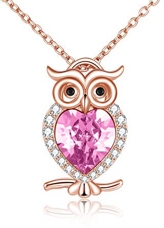 WINNICACA Damen Eulen Kette S925 Sterling Silber mit Geburtsstein Anhänger Nette Tiere Schmuck Geschenke für Frauen Mädchen Eulenliebhaber