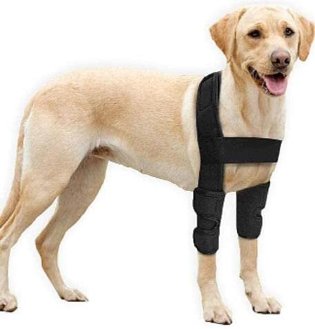 BEAUTYBIGBANG Kniebandage für Hunde Ellenbogenbandage für Hunde Ellenbogen Dysplasie Sprunggelenk Schutz Bandage Gelenkbandage Arthrose Ellenbogen Hygroma Dysplasie Arthrose Ellenbogenschwielen (L)