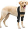 BEAUTYBIGBANG Kniebandage für Hunde Ellenbogenbandage für Hunde Ellenbogen Dysplasie Sprunggelenk Schutz Bandage Gelenkbandage Arthrose Ellenbogen Hygroma Dysplasie Arthrose Ellenbogenschwielen (L)