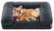 Feandrea FluffyHug Hundebett, Hundekissen Größe M, Hundematte für Miniaturhunde, kleine Hunde, Hundesofa Noppenschaumstoff, Bezug abnehmbar und waschbar, 76 x 58 x 23 cm, dunkelgrau PGW231G02