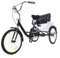 WooDerson Tricycle Adult 20 Inch Child Seat, Folding Back Basket, Height Adjustable, 1 Speed, Carbon Steel 3 Wheel Bike, Wheel Diameter 50cm, Dual Brake System, Black