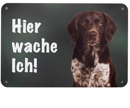 Kleiner Münsterländer KLM Hundeschild „Hier wache ich!“ – Wetterfestes Warnschild für Gartenzaun, Tor und Eingang – Jagdhund-Zaunschild aus Aluverbund, 24 x 16 cm – Made in Germany