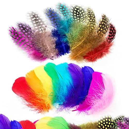 Audamp Bunte Federn 300 Stück Indianer Feder bunt Feder Handwerk zum Basteln für DIY Ohrring, Hochzeit, Traumfänger, Kopfschmucksfedern