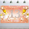 HOWAF 13. Geburtstag Banner für Mädchen - Rose Gold Dekoration, Stoff Plakat für Teenager Hintergrund, Photo Booth für Garten Tisch Mauer Deko