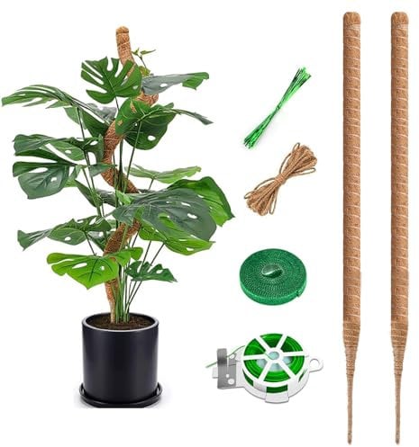 RYHX 2 Pack Monstera Tuteur,75cm Tuteur en Coco,Tuteur Flexible en Mousse pour Monstera avec Accessoires,Tuteur en Fibre de Coco pour Plantes Grimpantes Indoor