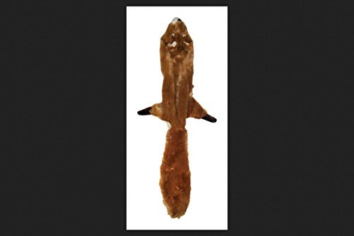 Skinneeez 470473 Hundespielzeug Eichhörnchen, 61 cm, braun