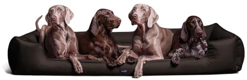 tierlando® Orthopädisches Hundebett Goofy für große Hunde XL bis XXXL mit waschbarerem Polyester-Bezug, ideal bei Gelenkproblemen Größe: 160x110cm | Farbe: 01 Braun