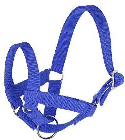 Halfter für Lamas und Alpakas Größe 60, blau