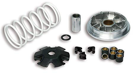 Variateur SYM SYMPHONY 50 4T EURO 2 XS1P37QMA-2 MALOSSI - 5114206