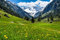 ALPEN Fototapete VLIES-500x280 cm (1395A)-Natur Landschaft Blumen Berge Garten Bäume Gebirge Wandtapete-Inkl. Kleister-Vliestapete Bild Dekoration Wand-Dekor Moderne Motiv-Tapete Panorama Poster XXL