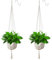 Apstaqeoo 2Pcs Hanging Planters Baskets, Cotton Rope Macrame Plant Hanger Flower Pot Hanging Plants Holder with 2 Hanging Hook, Wall Hanging Holder Indoor Outdoor for Balcony Garden Home Decor(101cm)