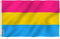 Anley Fly Breeze 3x5 Fuß Pansexual Pride Flag - Lebendige Farbe und UV-beständig - Canvas Header und doppelt genäht - Omnisexuelle LGBT Flags Polyester mit Messingösen 3 x 5 Ft
