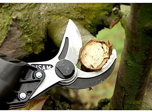 PNEUMATISCHE BAUMSCHERE LISAM MOD. SUPERSLY mit GRIFF (ASTA + GRIFF) OBSTBAU