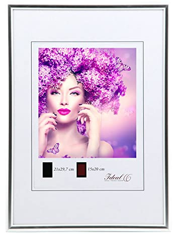 IDEAL TREND New Lifestyle Kunststoff Bilderrahmen Kunststoffrahmen Bildhalter Bildträger: Farbe: Silber | Format: 20x30