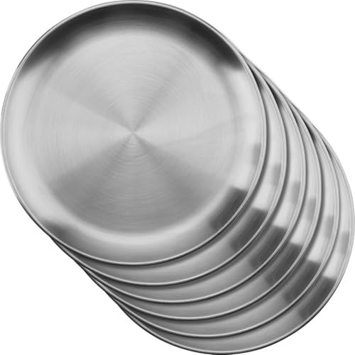 LOSYHU 6 Pcs 26cm Stainless Steel Dinner Plates, Silver Round Serving Platters Metal Plates Dishes Rust Resistant Dinner Serving Dishes for Camping Picnics and Outdoor Use