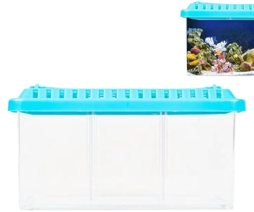 Kleines Aquarium | 1 x Mini-Aquarium Betta transparent mit abnehmbaren