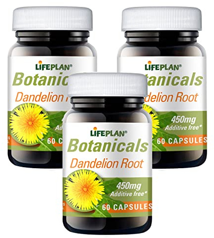 LIFEPLAN Dandelion Root 60caps (Pack of 3)
