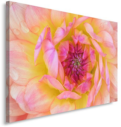 Feeby. Wandbild - 1 Teilig - 30x40 cm, Leinwand Bild Leinwandbilder Bilder Wandbilder Kunstdruck, DAHLIE, NATUR, GELB, ROSA