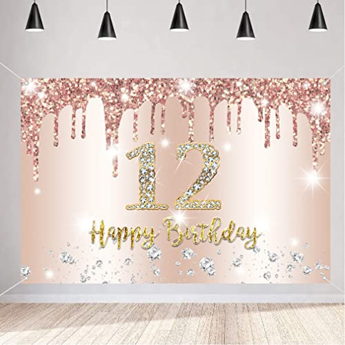12. Geburtstag Mädchen Deko, Zwölfter Geburtstag Banner Roségold, Happy 12 Birthday Stoff Schild Plakat, 12. Geburtstag Hintergrund Banner Mädchen Geburtstagsfeier Deko