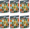 Rappelkiste Spielwaren Spar-Set 401892 - Eldrador - Mini Creatures - Figuren-Set mit 6 Tüten