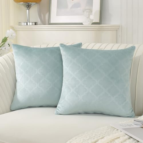 Ystyle Juego de 2 Funda Cojin 60x60 Fundas de Cojines de Terciopelo Decorativas Cuadradas para Decoración del Hogar Sofá Dormitorio Coche Estar Sillas Jardin Habitación Sólido, Gris Verde