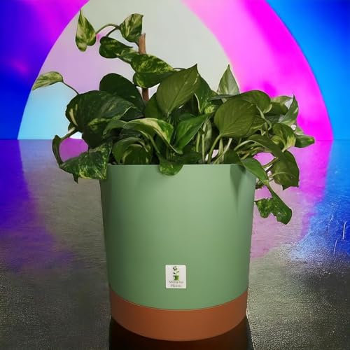 Macetero de Autorriego con Plato Incluido, Disponible en 3 Tamaños y 3 Colores | Diseño Moderno y Duradero para Plantas de Interior y Exterio (Verde, 16,5 cm x 16 cm x 14,5 cm)