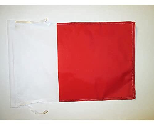 AZ FLAG - Flagge Emirat Dubai - 45x30 cm Mit Kordel - Dubai Fahne 30 x 45 cm - Flaggen