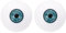 PATIKIL 30mm Safety Eyes,1 Pair Realistic Acrylic Eyes Plastic Half Eyeballs for Masks Halloween Props Art Craft, Blue Green